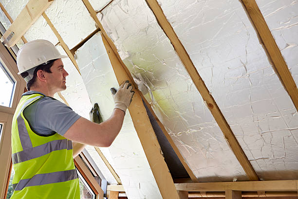 Best Insulation Maintenance and Repair in Hudson Bend, TX